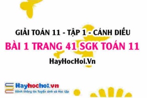 Giải bài 1 trang 41 Toán 11 tập 1 SGK Cánh Diều